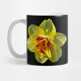 Daffodil Mug